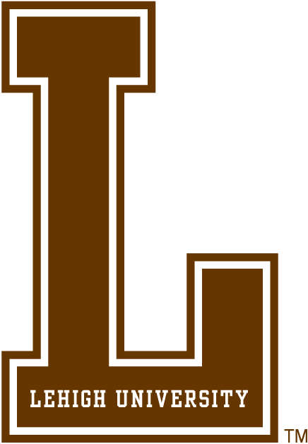 Lehigh Mountain Hawks 0-Pres Alternate Logo v2 iron on transfers for T-shirts